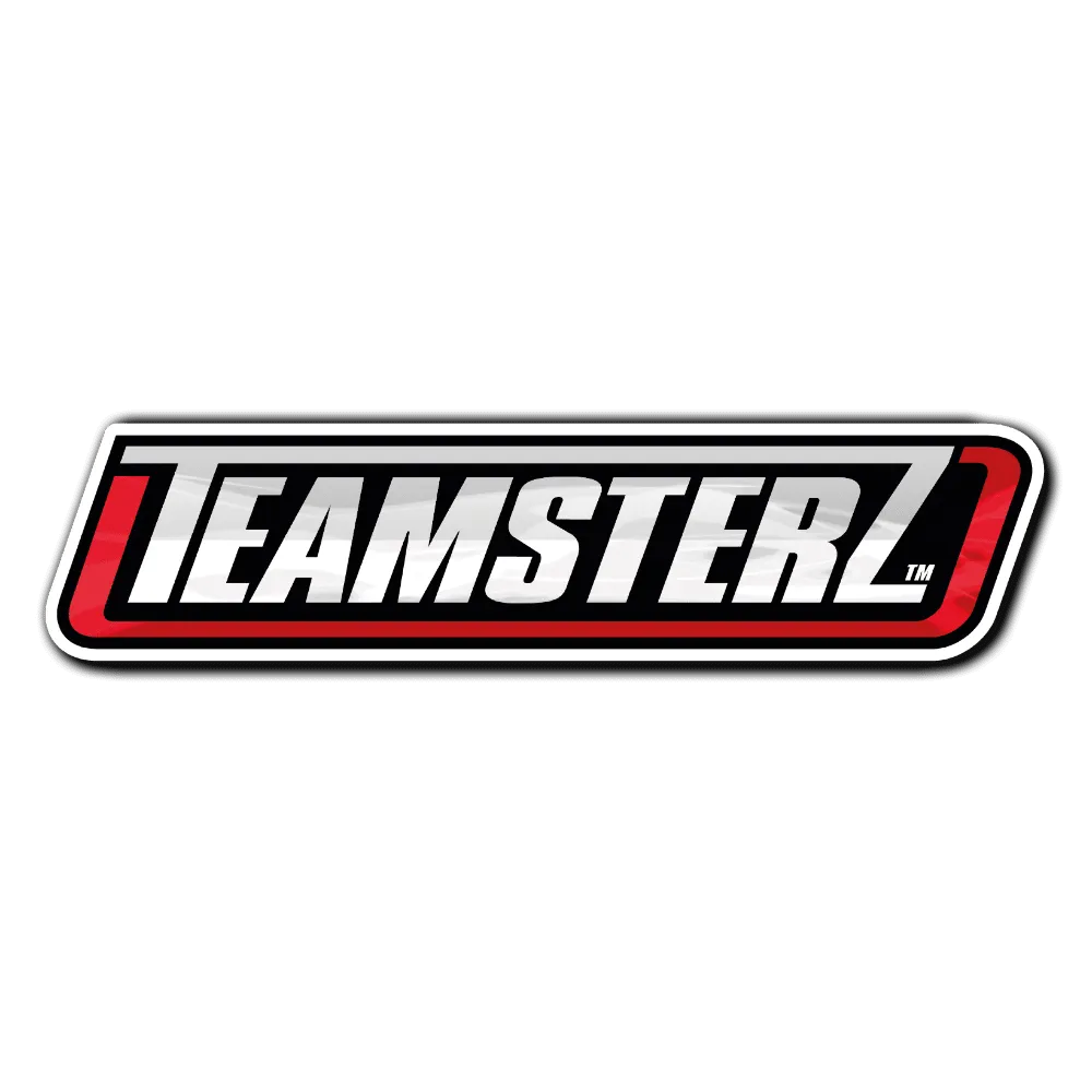 Teamsterz