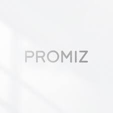 Promiz