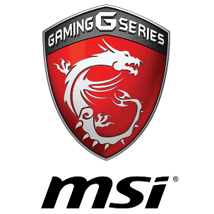 MSI