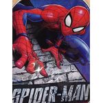 Marvel Spiderman Sides 3D backpack 31cm -