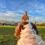 Insta360 - GO 3/GO 3S Pet Harness Mount Size S / Electronics