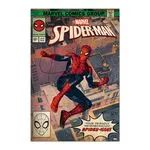 Marvel Spiderman poster Comic poster