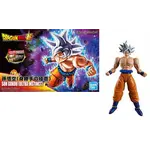 DRAGON BALL - Model Kit - SON GOKU Ultra Instinct