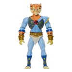 Masters of the Universe x ThunderCats Action Figure Tygra 14 cm