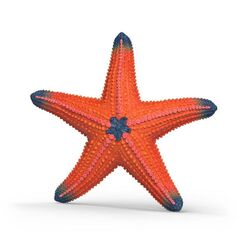 Schleich - Starfish with color change (14902) / Toys