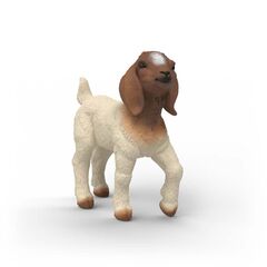 Schleich - Boer Goat Kid (14930) / Toys