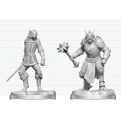 Dungeons & Dragons Nolzur's Marvelous Miniatures Unpainted Miniature Dragonborn Paladin & Dragonborn Squire 14 cm