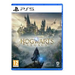 Hogwarts Legacy / PlayStation 5