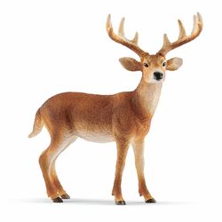 Schleich - Wild Life - White-Tailed Buck (14818) / Toys