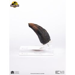Jurassic Park 1/1 Replica Velociraptor Toenail Type A 11 cm