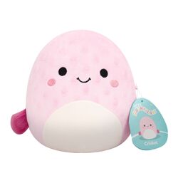 Squishmallows - 19 cm P27 Cricket / Toys