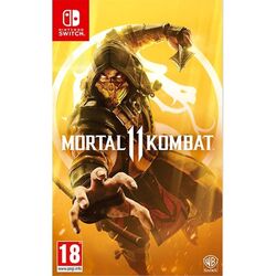 Mortal Kombat 11 (Code in a Box) (FR/Multi in Game) / Nintendo Switch