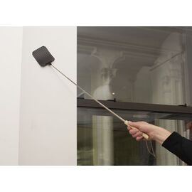 Extendable Fly Swatter Asst Bk/Gr / Gadgets