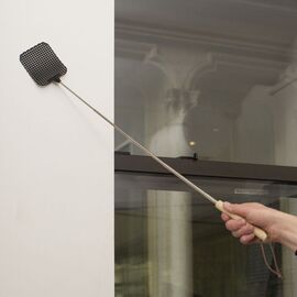 Extendable Fly Swatter Asst Bk/Gr / Gadgets