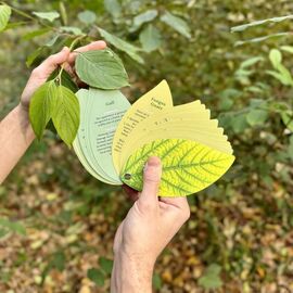Healthy Plant Book / Gadgets