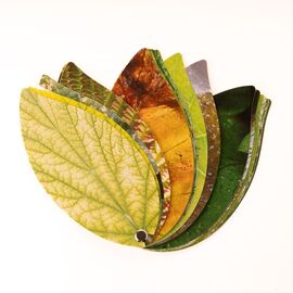 Healthy Plant Book / Gadgets