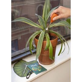 Plant Care Tin / Gadgets - Αταξινόμητα -  - Techbox