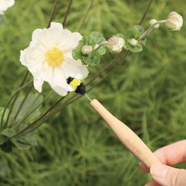 Pollination Wand / Gadgets