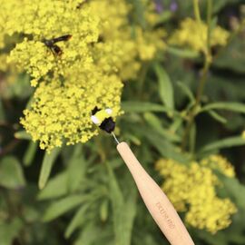 Pollination Wand / Gadgets