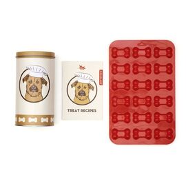 Treat Tin / Gadgets