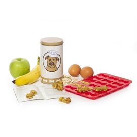 Treat Tin / Gadgets