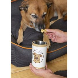 Treat Tin / Gadgets
