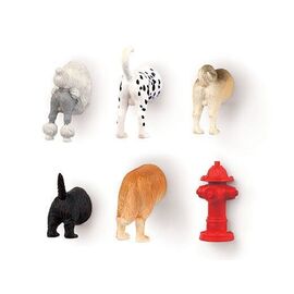 Dog Butt Magnets 6 Per Set / Gadgets - Αταξινόμητα -  - Techbox