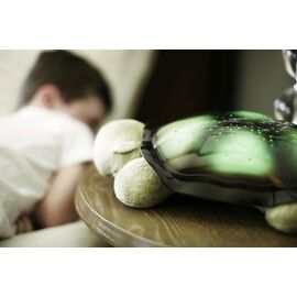 Cloud B - Twilight Turtle - Classic Mocha (CB7323-ZZ) / Toys