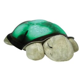 Cloud B - Twilight Turtle - Classic Mocha (CB7323-ZZ) / Toys