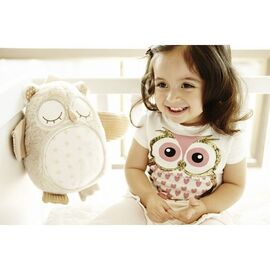 Cloud B - Nighty Night Owl (CB8524-OW) / Toys