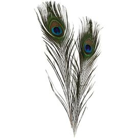 DIY Kit - Peacock feathers 10pc (51810) / Toys