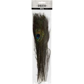DIY Kit - Peacock feathers 10pc (51810) / Toys
