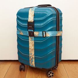 World Traveler Luggage Straps (TT57) / Gadgets