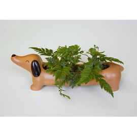 Daisy The Dachshund Planter (PL17) / Gadgets