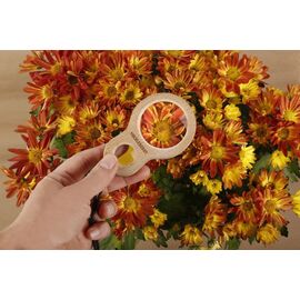 HUCKLEBERRY DUAL MAGNIFIER (HB04-F) / Gadgets - Αταξινόμητα -  - Techbox