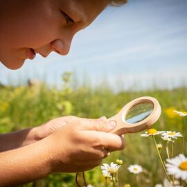 HUCKLEBERRY DUAL MAGNIFIER (HB04-F) / Gadgets - Αταξινόμητα -  - Techbox