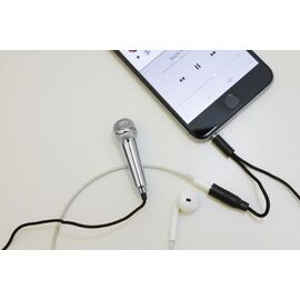 Mini Karaoke Microphone - Silver (US133-EU) / Gadgets