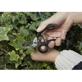 Garden Shears (CD526) / Gadgets