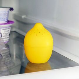 Lemon And Lime Fridge Freshener / Gadgets