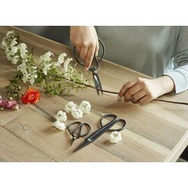 Scissor Set For Garden (SC37) / Gadgets - Αταξινόμητα -  - Techbox