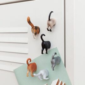 Cat Butt Magnets Set Of 6 / Gadgets