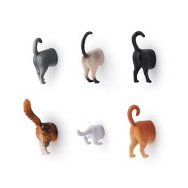 Cat Butt Magnets Set Of 6 / Gadgets