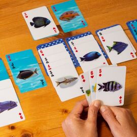 Fish 3D Cards / Gadgets - Αταξινόμητα -  - Techbox
