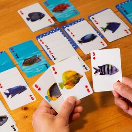 Fish 3D Cards / Gadgets - Αταξινόμητα -  - Techbox