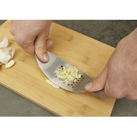 Fish Garlic Press (CU281) / Gadgets - Αταξινόμητα -  - Techbox