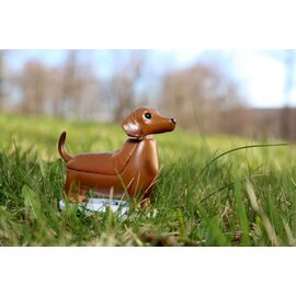 Solar Dachshund - Boudewijn (1612) / Gadgets