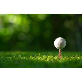 Gopher Golf Tee S/6 / Gadgets | Techbox