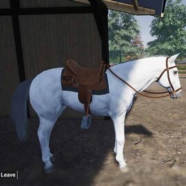 My Life Farm Vet / PlayStation 5 | Techbox