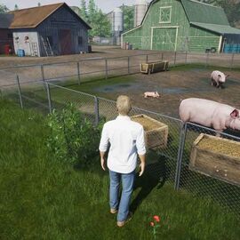 My Life Farm Vet / PlayStation 5 | Techbox