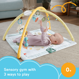 Fisher Price Newborn – Simply Senses newborn Gym (HRB15) / Toys - Αταξινόμητα -  - Techbox